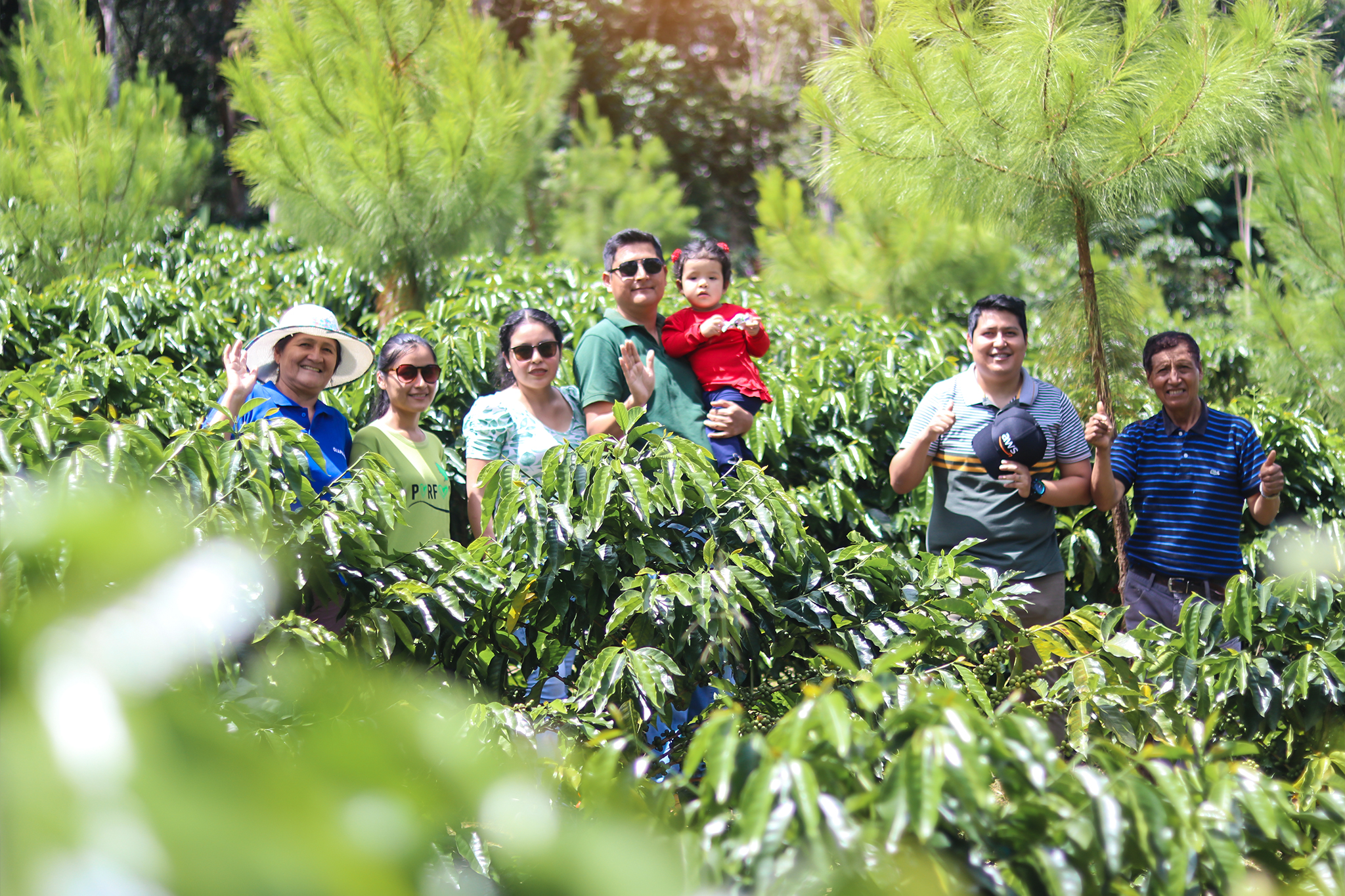 Café en grano