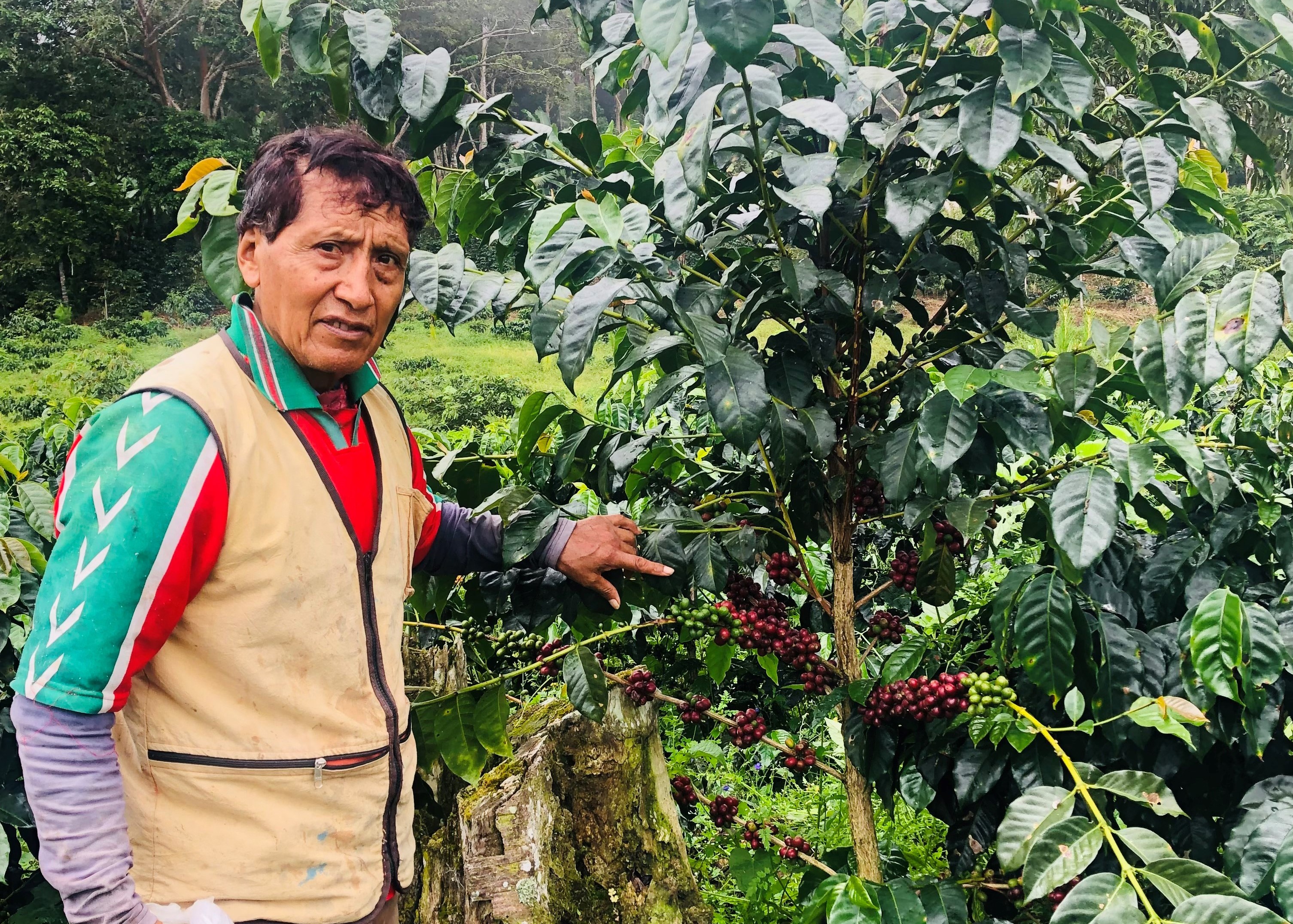 Finca Don Lucho